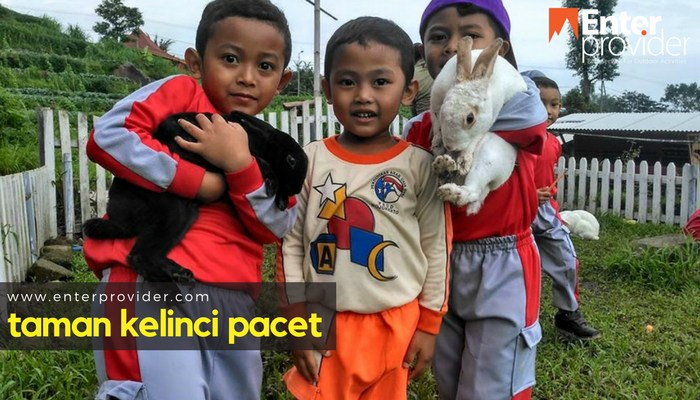 Taman Kelinci Pacet Yuk Mengenal Hewan Kelinci Lebih Dekat