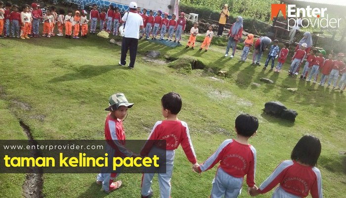 Taman Kelinci Pacet Yuk Mengenal Hewan Kelinci Lebih Dekat