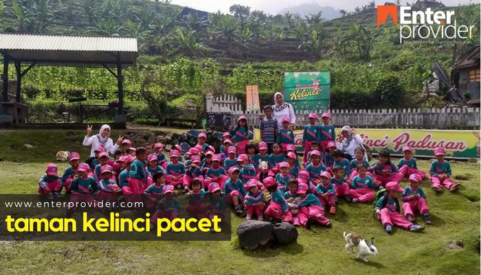 Taman Kelinci Pacet Yuk Mengenal Hewan Kelinci Lebih Dekat