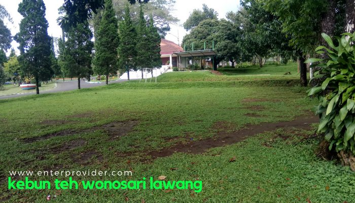 Kebun Teh Wonosari Lawang