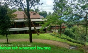 Kebun Teh Wonosari Lawang