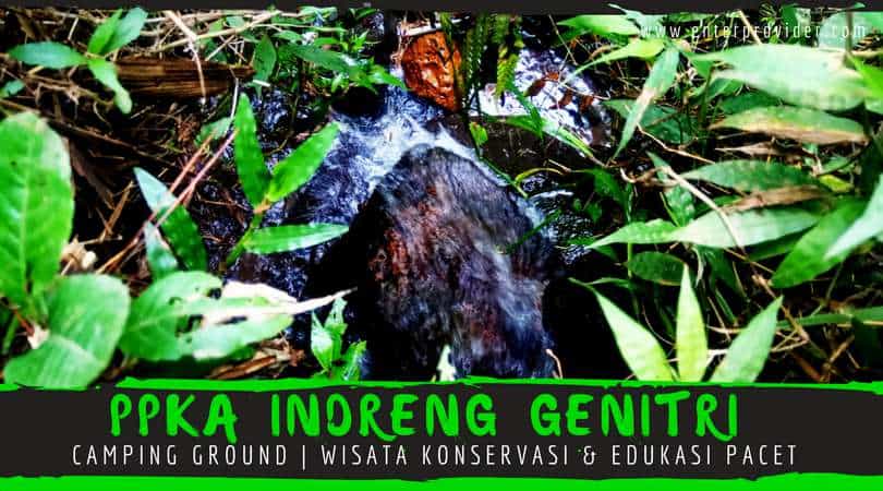 indreng genitri pacet