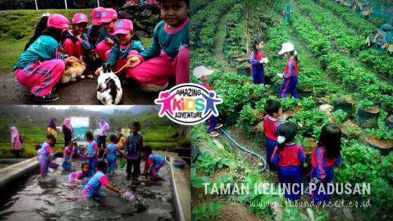 Outbound Anak TK di Pacet Mojokerto