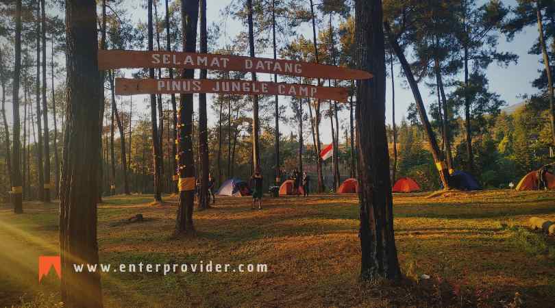 Pinus Jungle Camp Trawas