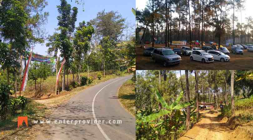 Pinus Jungle Camp Trawas