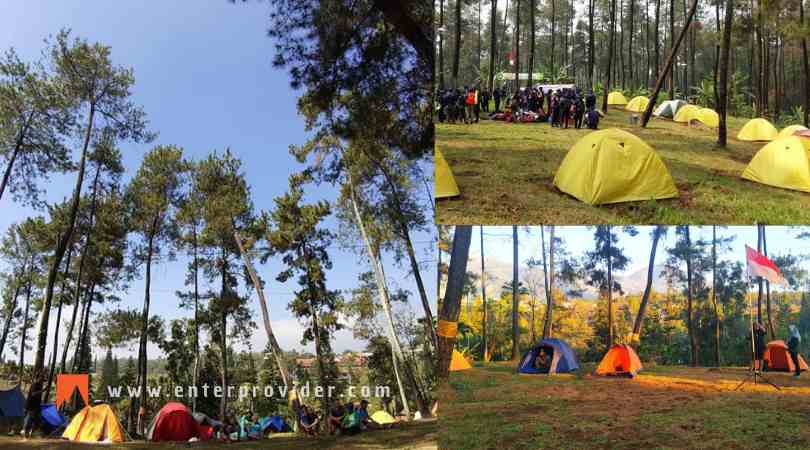 Pinus Jungle Camp Trawas