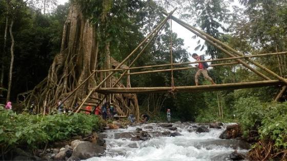 Akar Seribu Gondang 